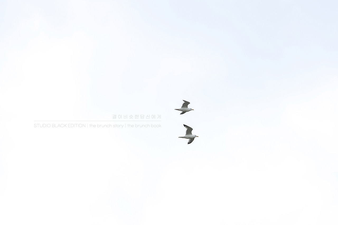 THE BRUNCH STORY 548.jpg