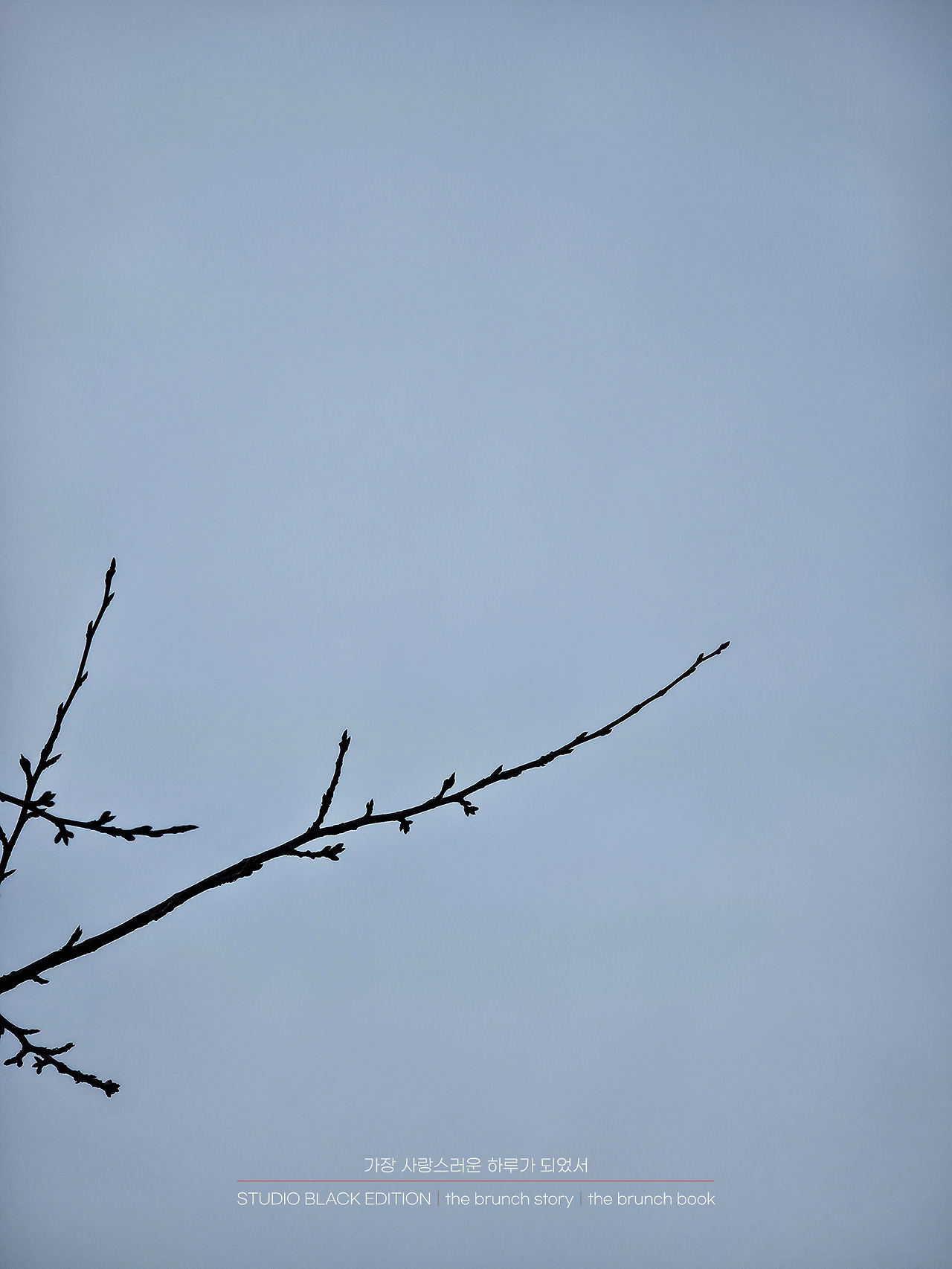 THE BRUNCH STORY 509.jpg