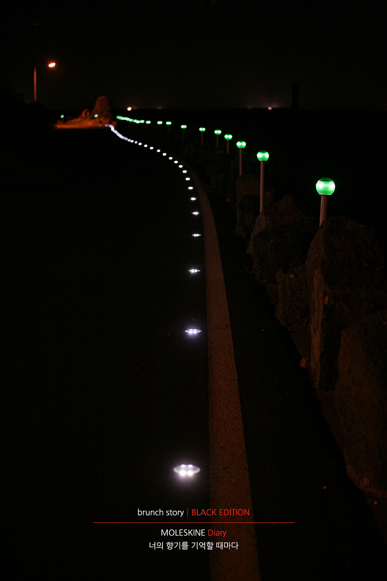 MOLESKINEDiary190.jpg