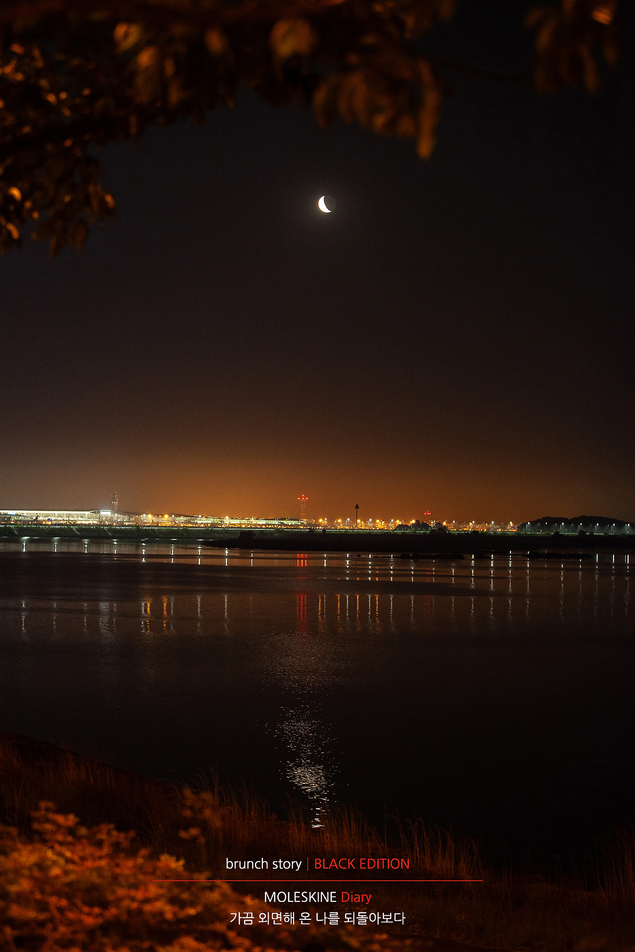 MOLESKINEDiary181.jpg
