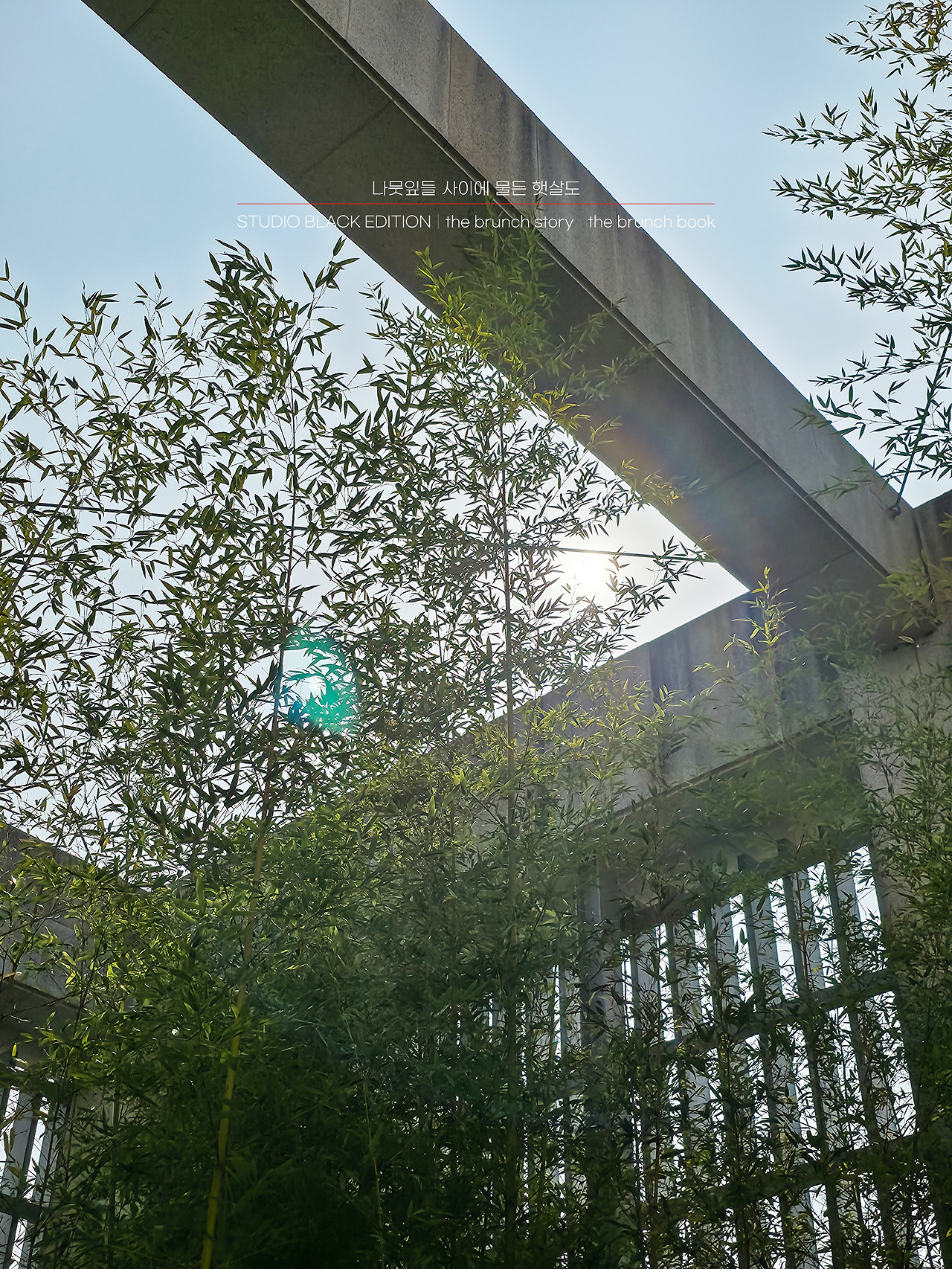 THE BRUNCH STORY 549.jpg