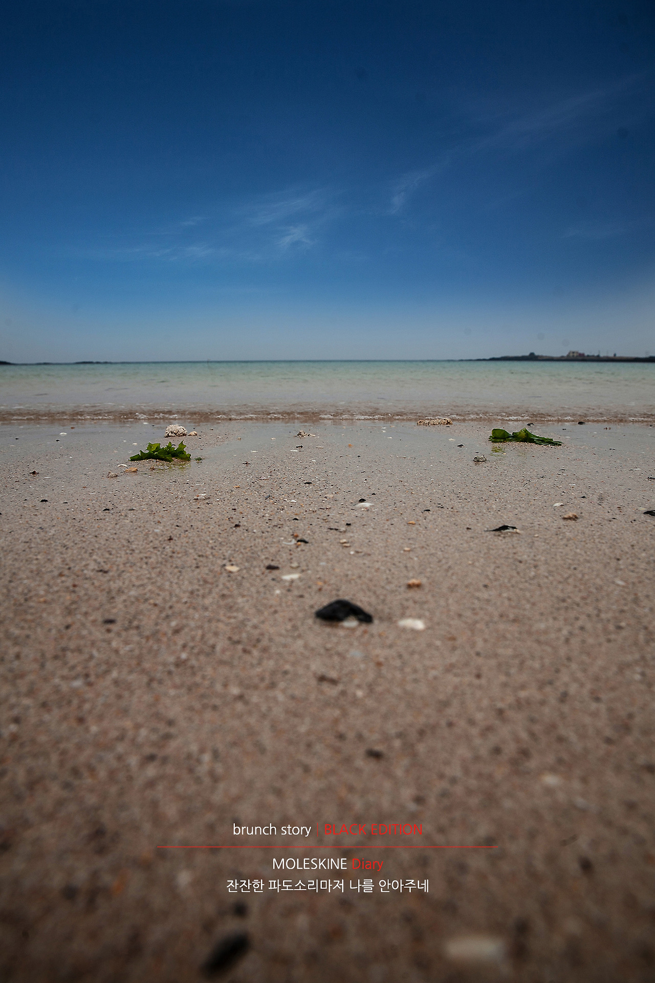 MOLESKINEDiary146.jpg