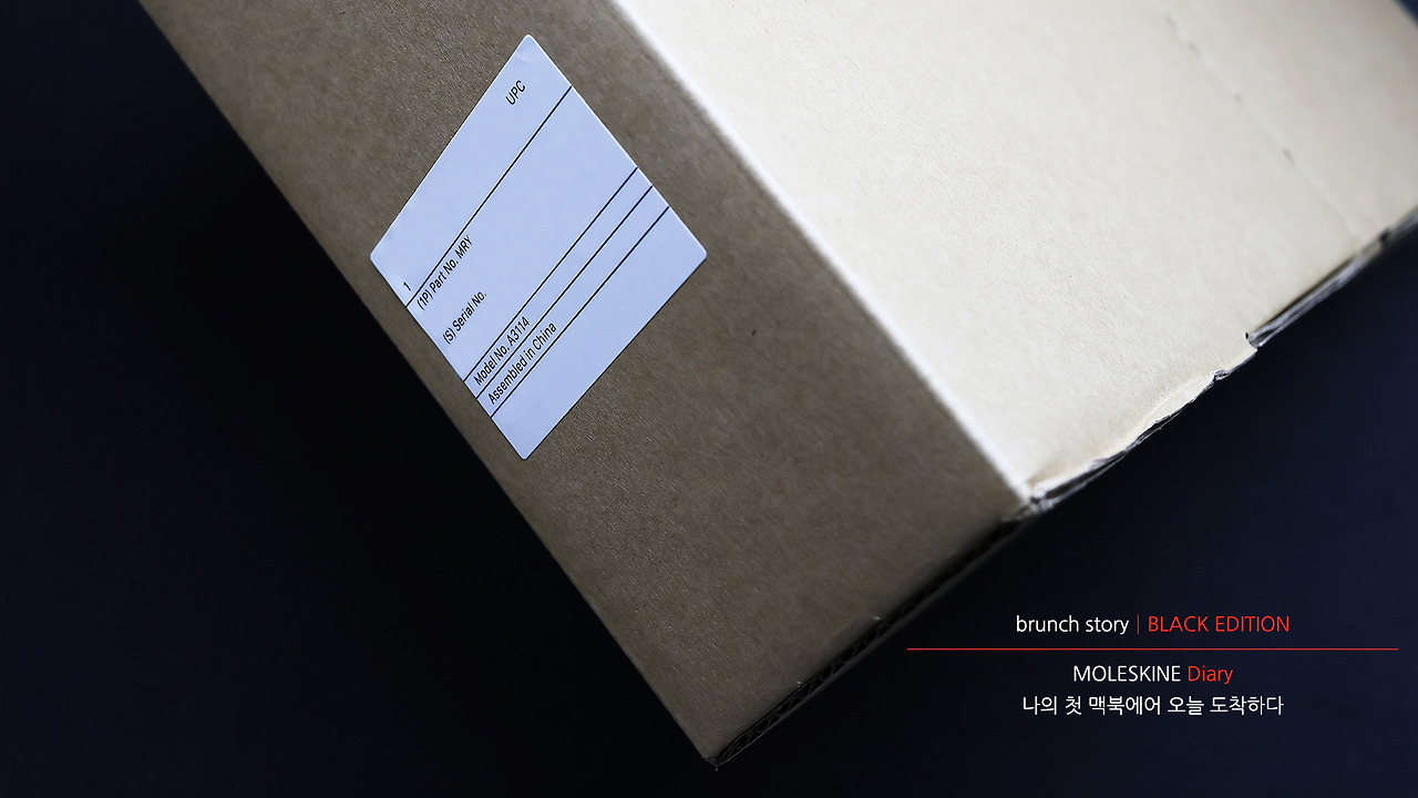 MOLESKINEDiary128.jpg