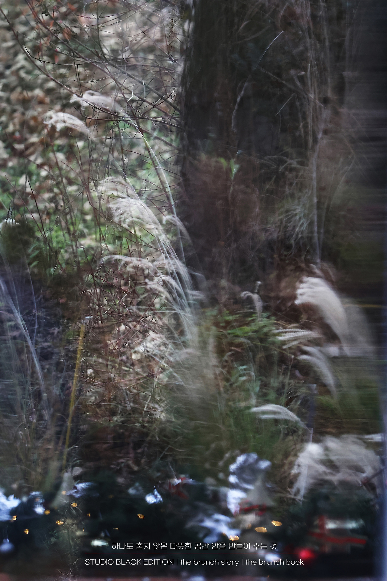 THE BRUNCH STORY 416.jpg