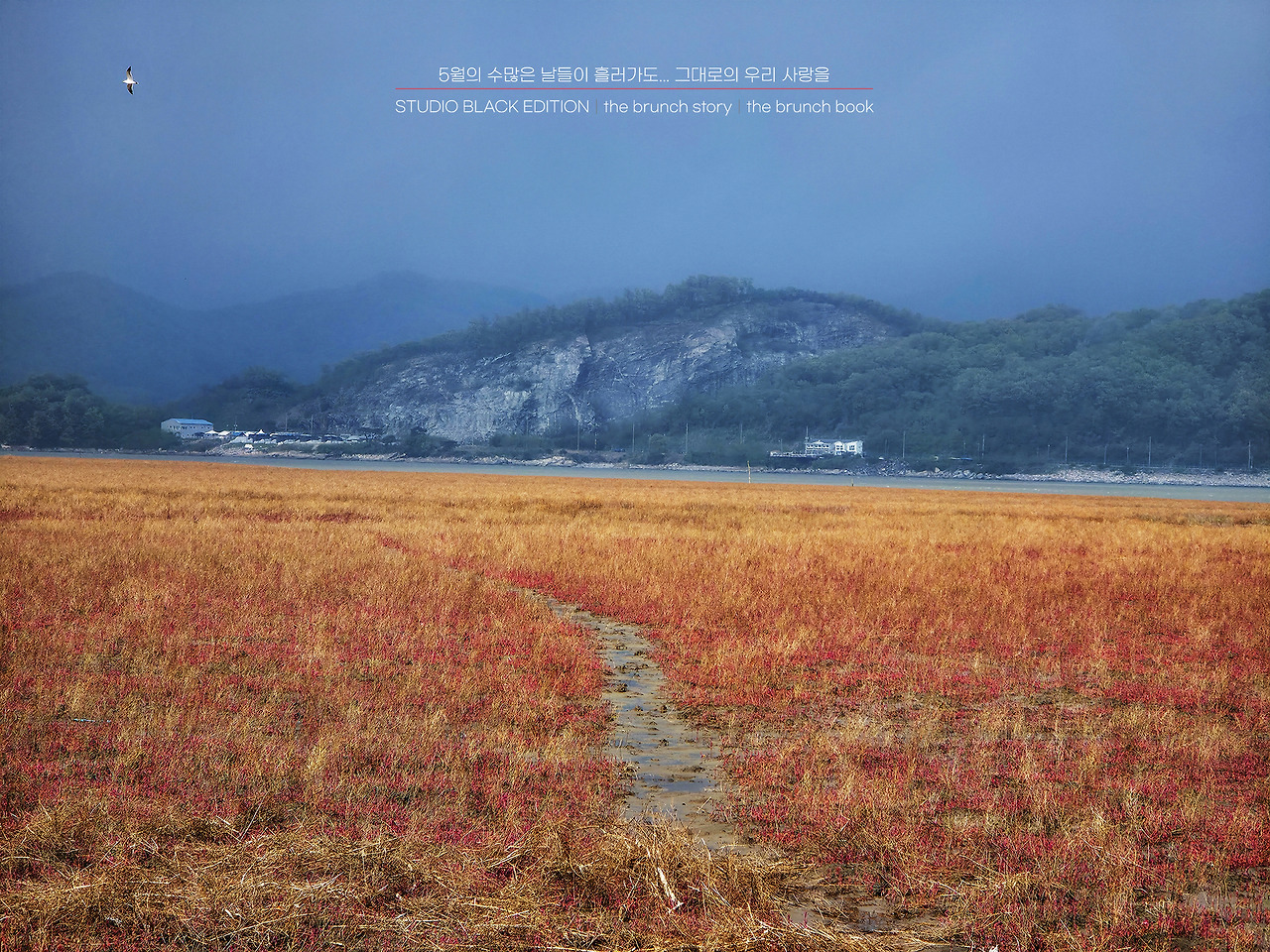 THE BRUNCH STORY 576.jpg