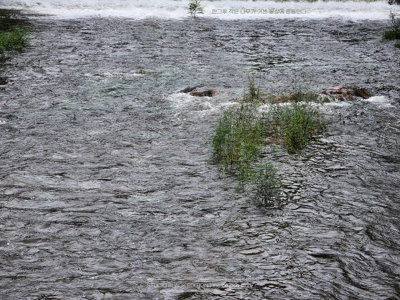 THE BRUNCH STORY 695.jpg