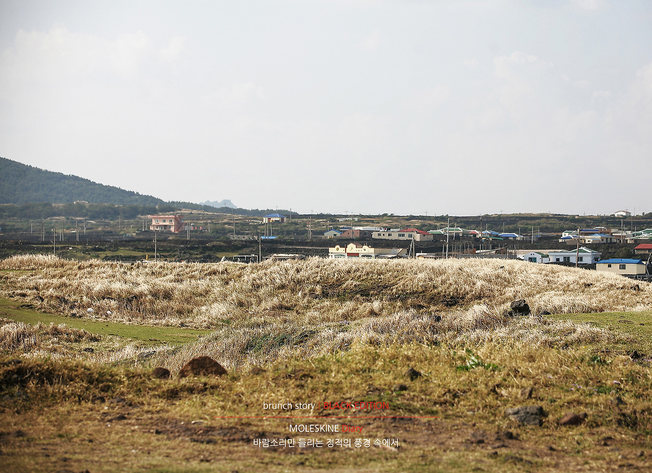 MOLESKINEDiary170.jpg