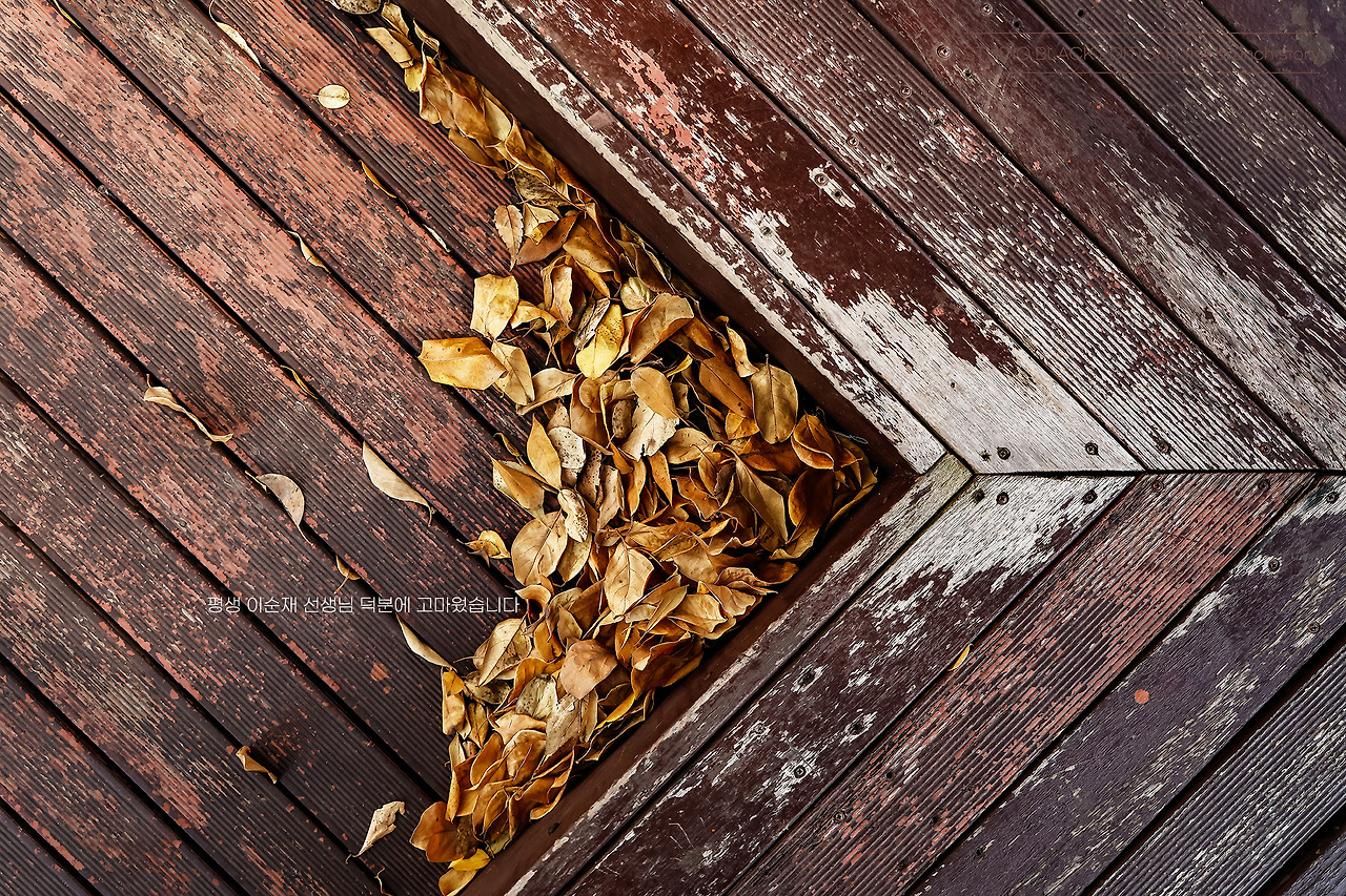 THE BRUNCH STORY 773.jpg