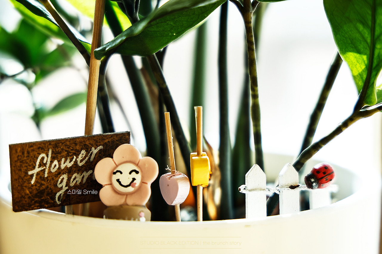 THE BRUNCH STORY 776.jpg