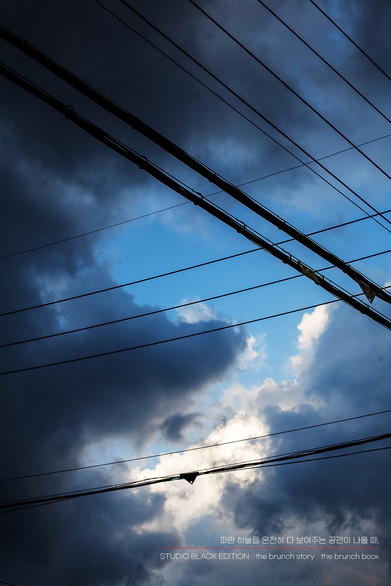 THE BRUNCH STORY 399.jpg