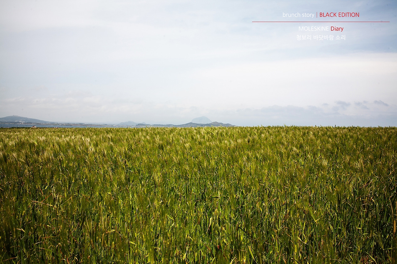MOLESKINEDiary148.jpg