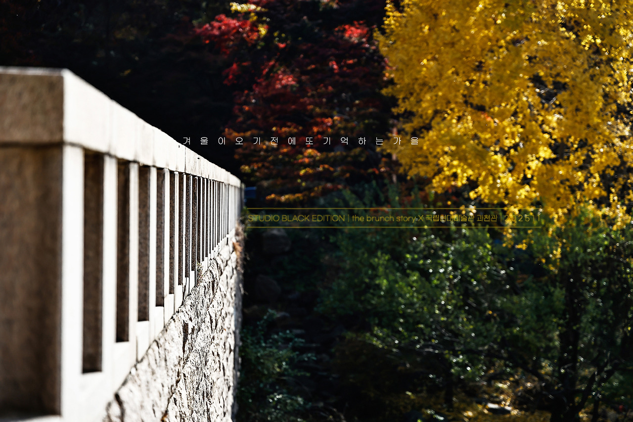 THE BRUNCH STORY 768.jpg