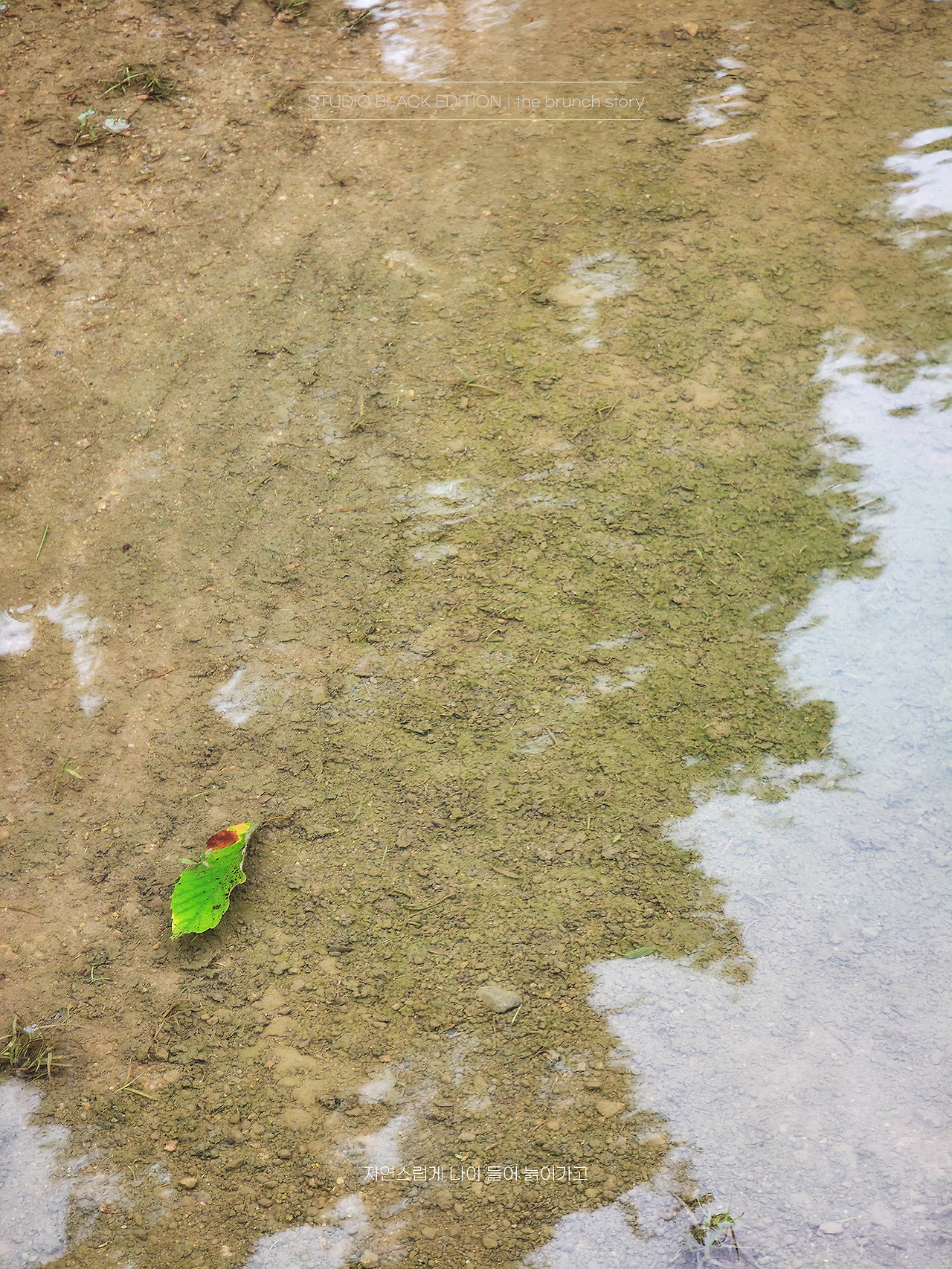 THE BRUNCH STORY 693.jpg