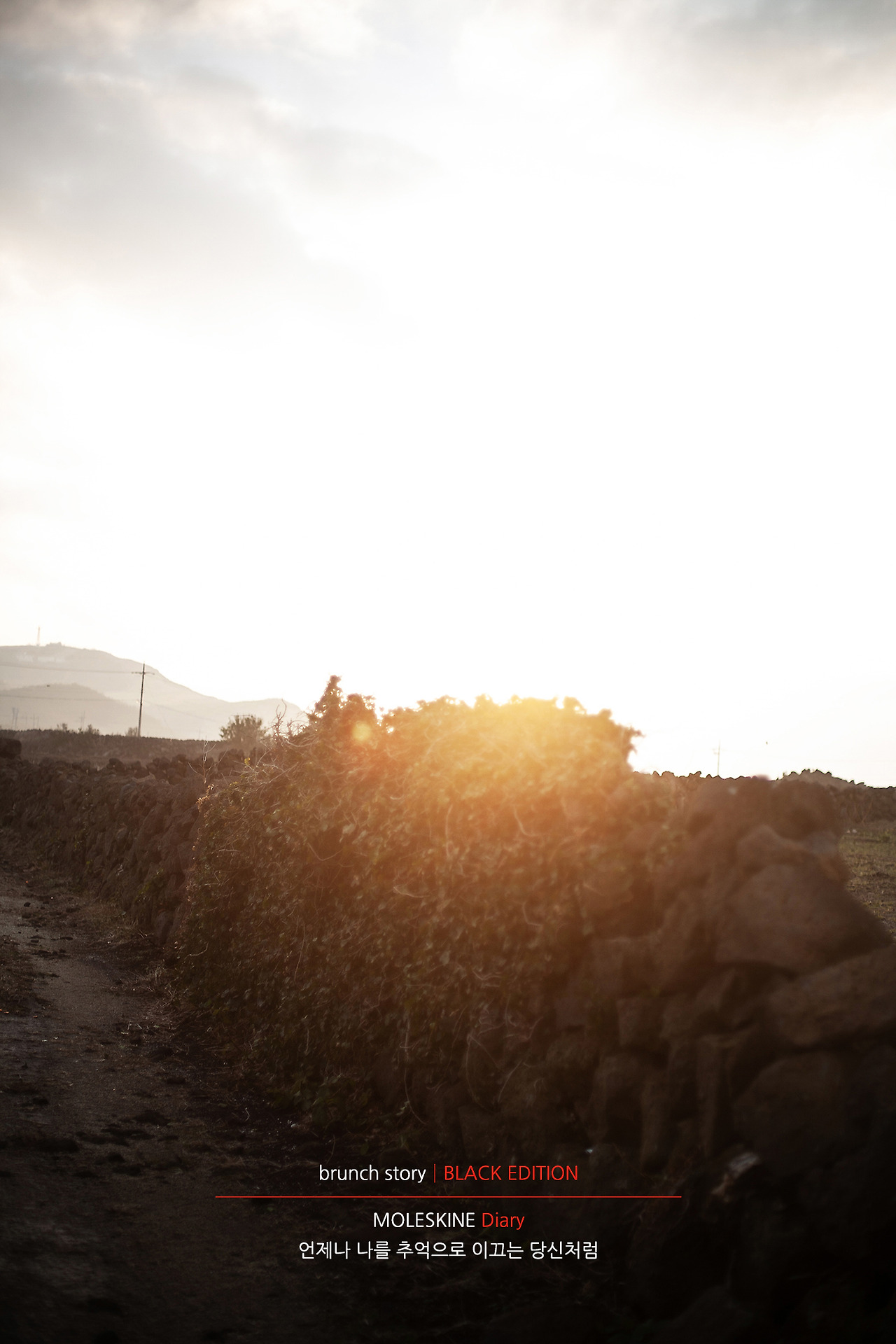 MOLESKINEDiary240.jpg