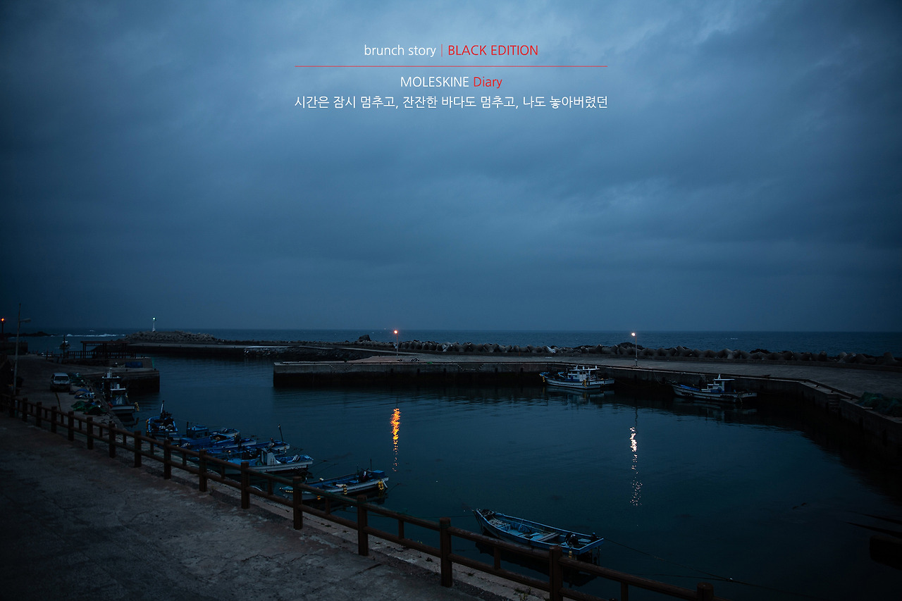 MOLESKINEDiary259.jpg