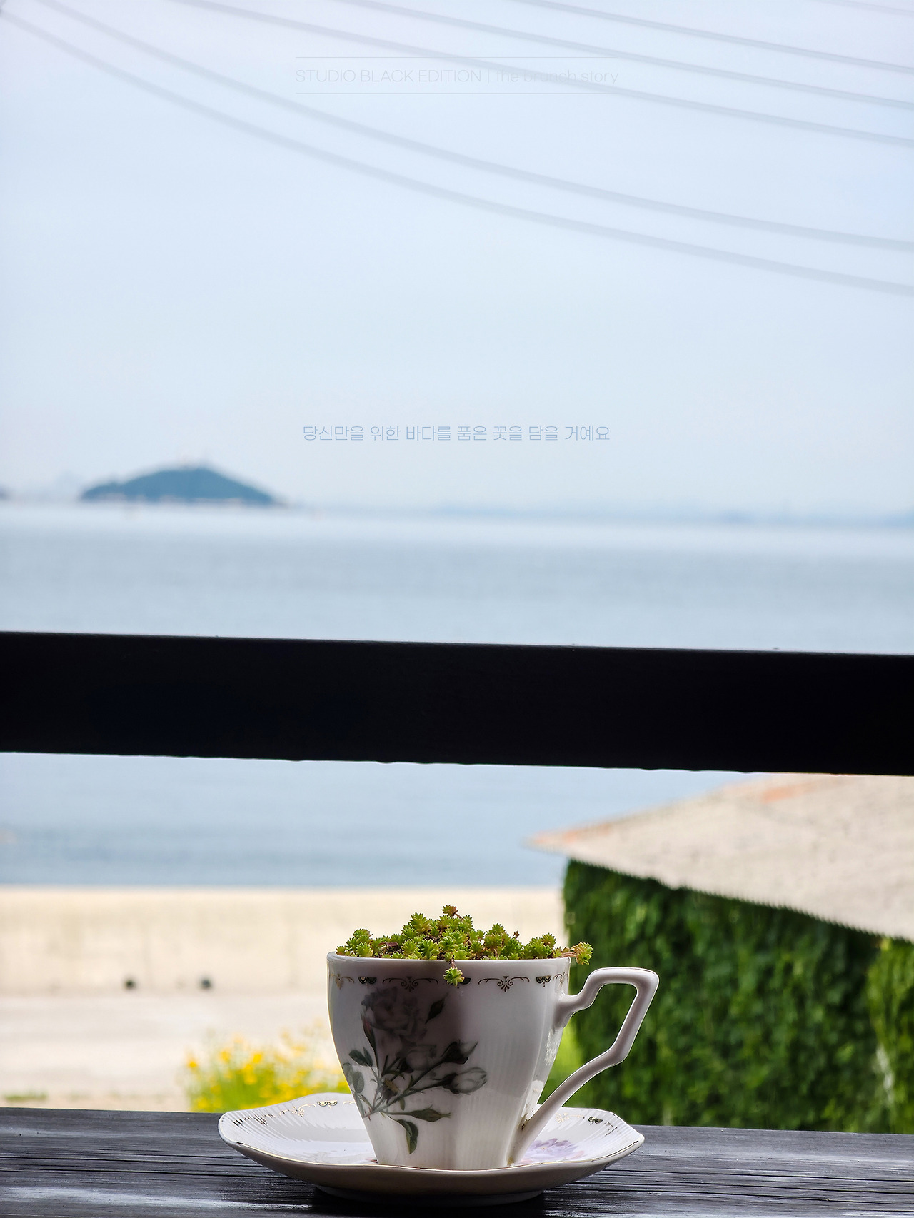 THE BRUNCH STORY 632.jpg