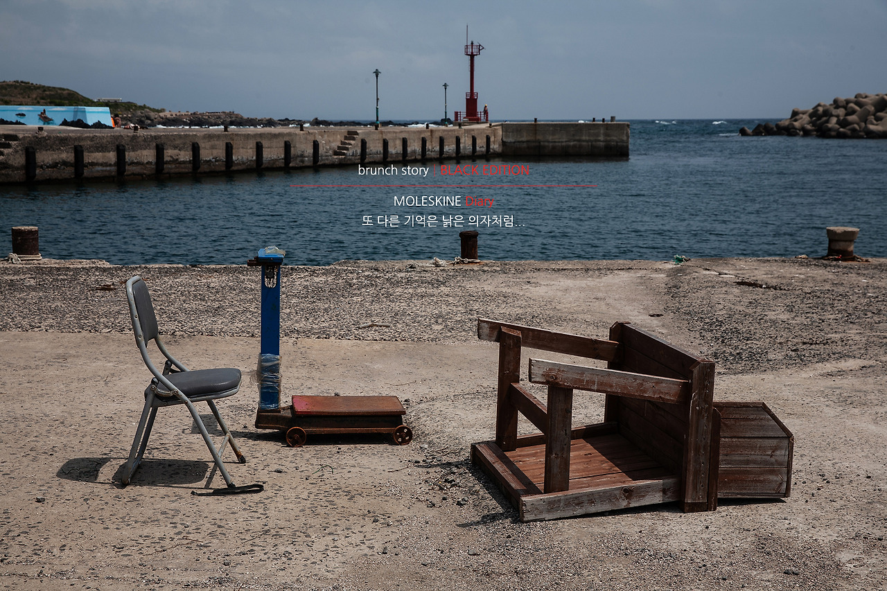MOLESKINEDiary257.jpg
