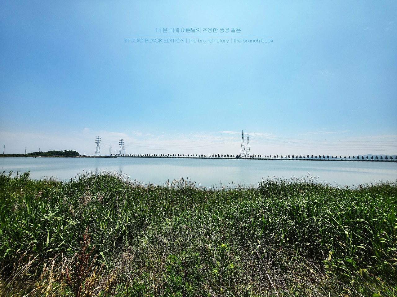 THE BRUNCH STORY 602.jpg