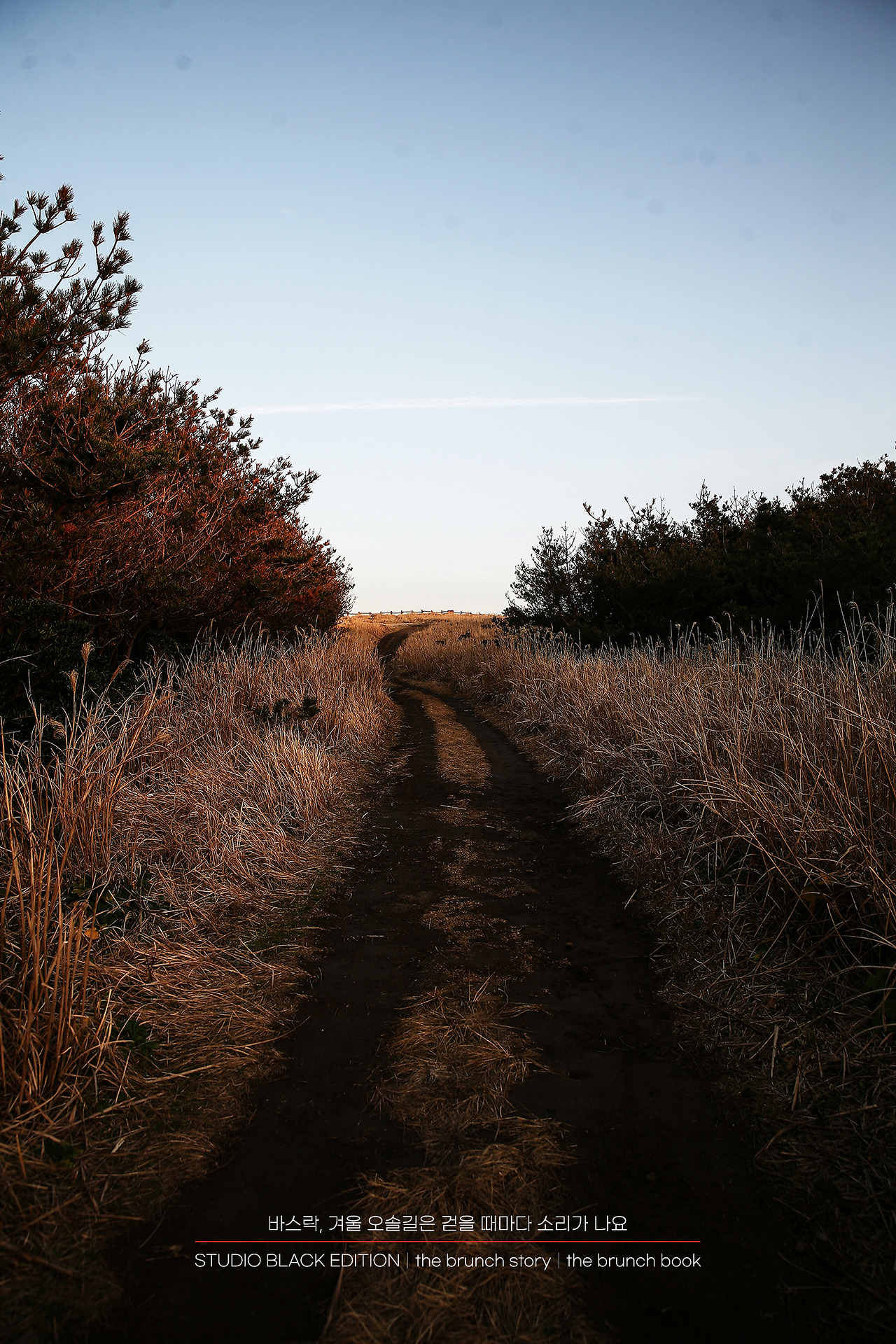 THE BRUNCH STORY 428.jpg