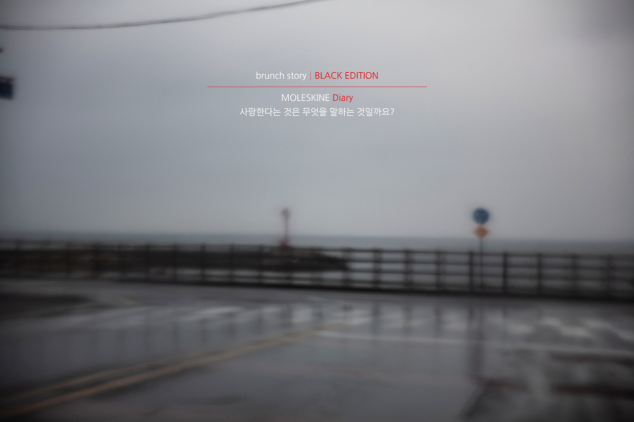 MOLESKINEDiary299.jpg