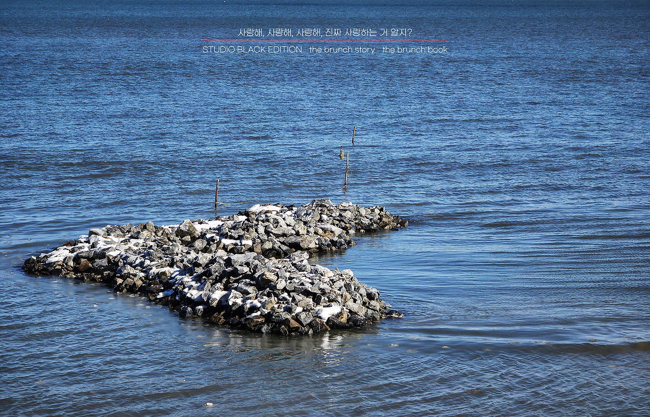 THE BRUNCH STORY 512.jpg