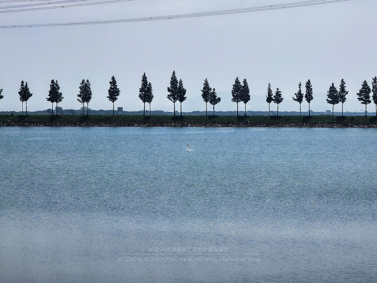 THE BRUNCH STORY 603.jpg