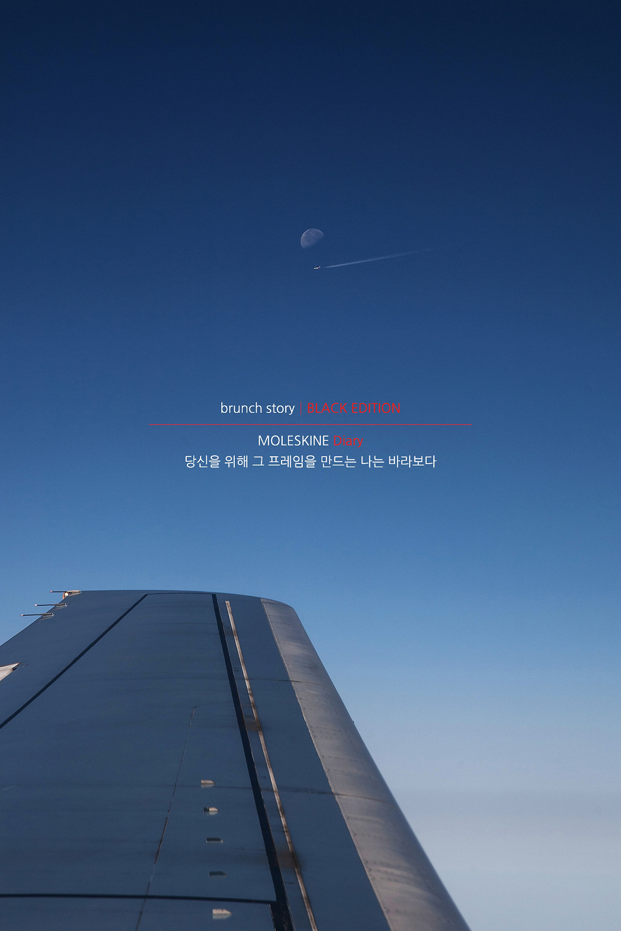 MOLESKINEDiary297.jpg