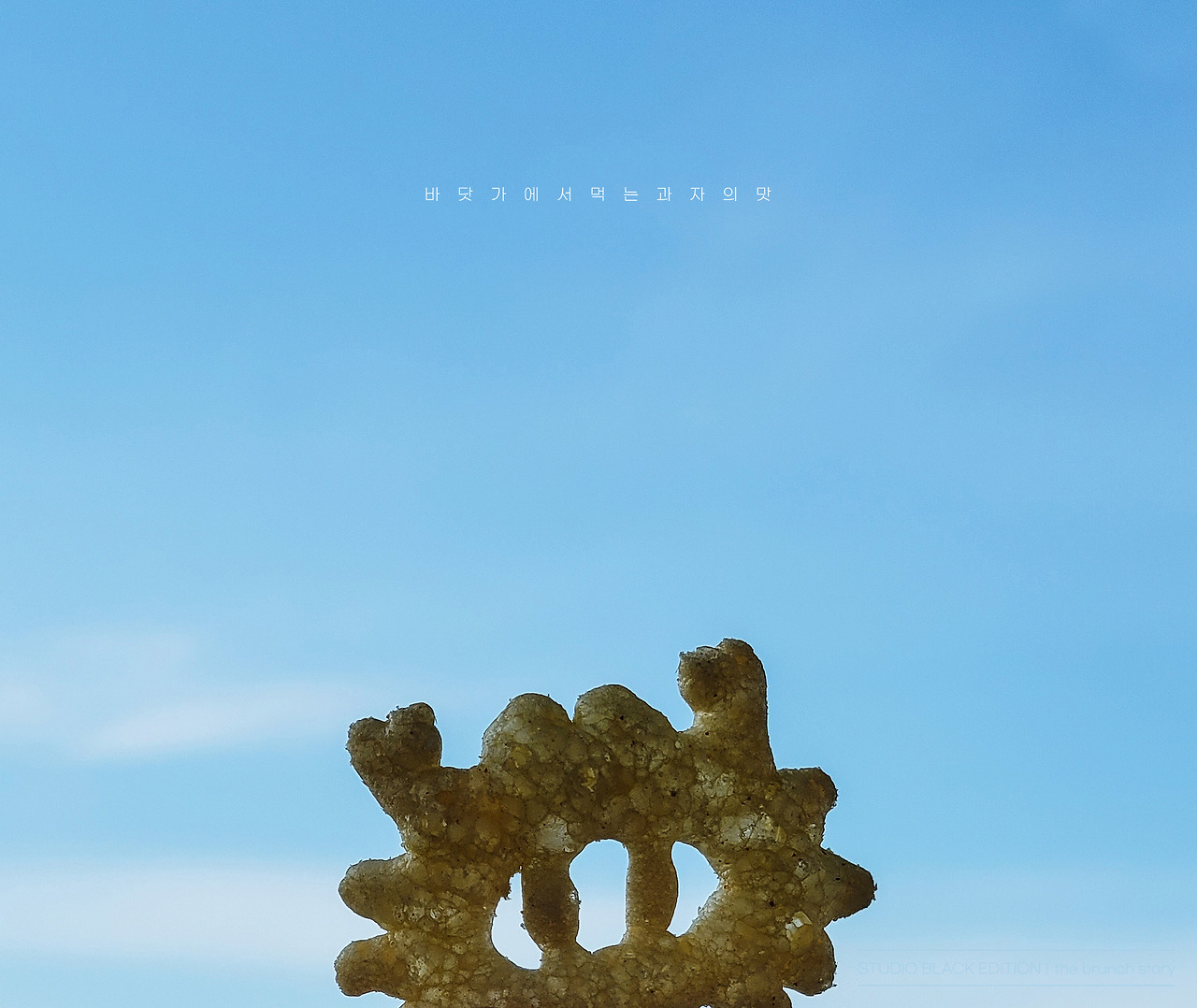 THE BRUNCH STORY 741.jpg