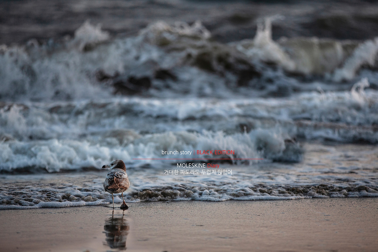 MOLESKINEDiary035.jpg