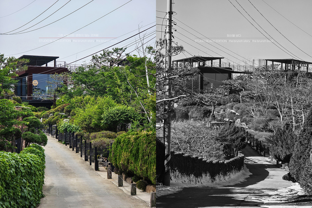 THE BRUNCH STORY 585.jpg