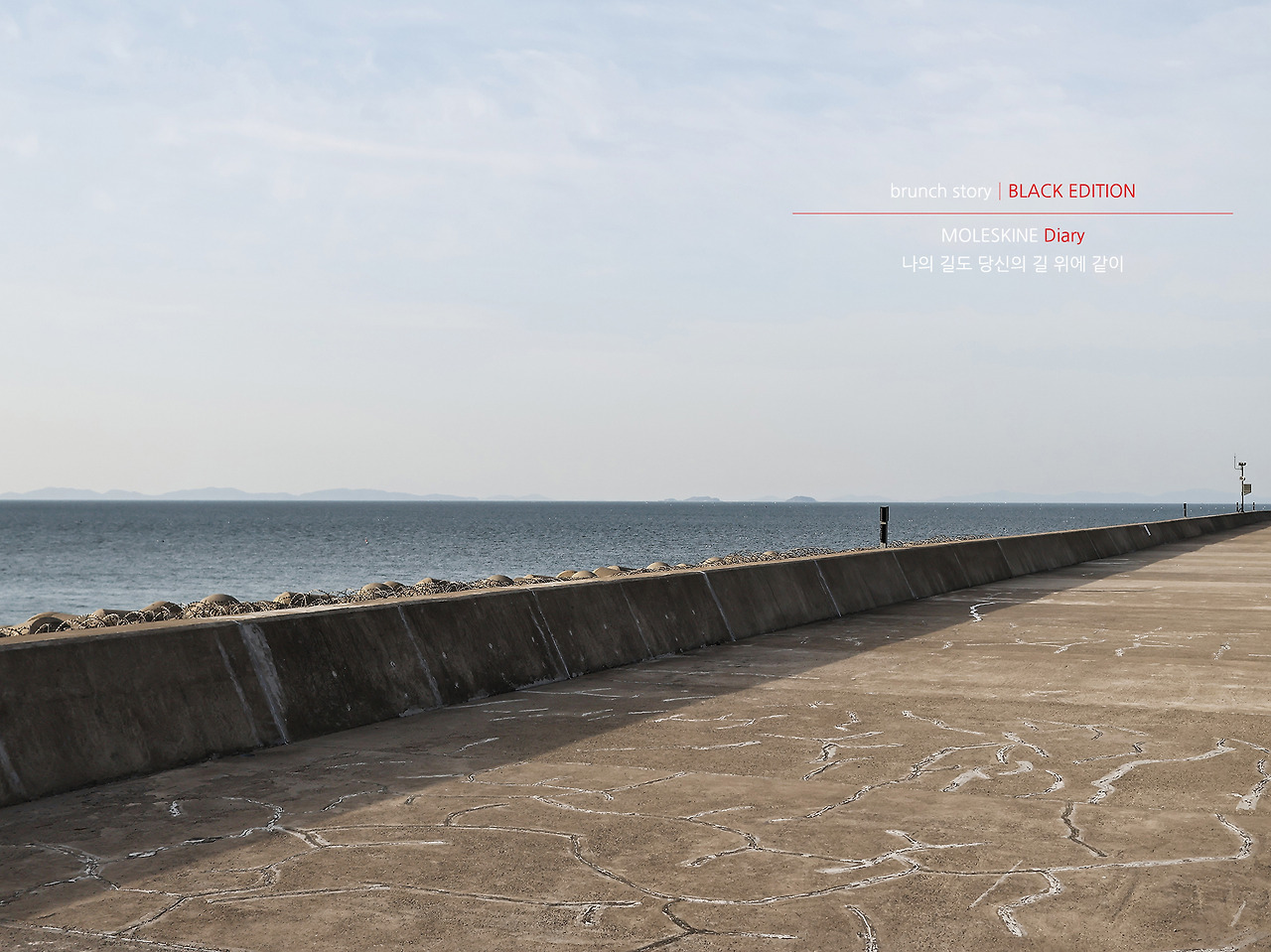 MOLESKINEDiary114.jpg