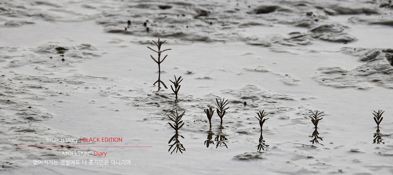 MOLESKINEDiary254.jpg