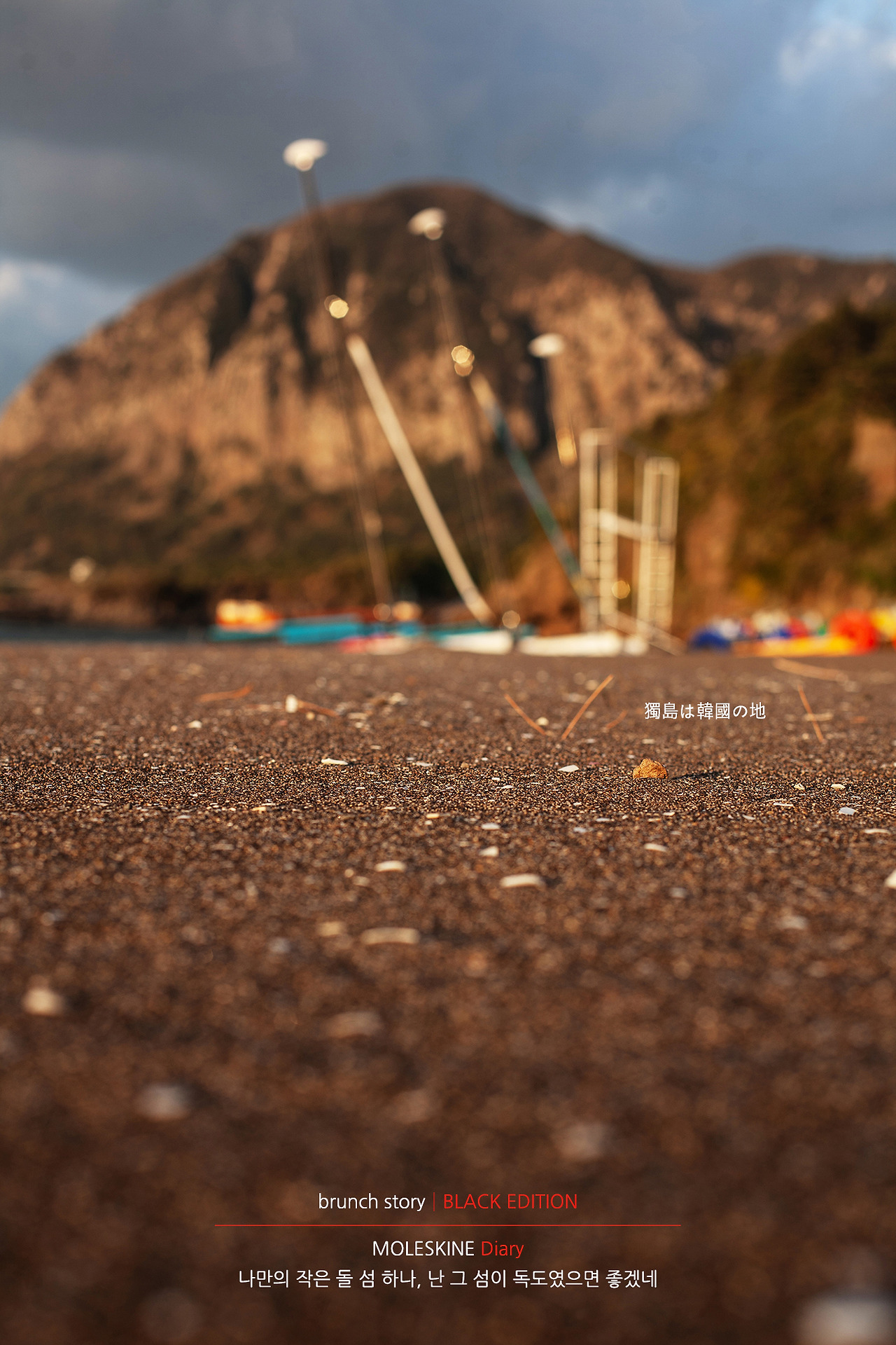MOLESKINEDiary241.jpg