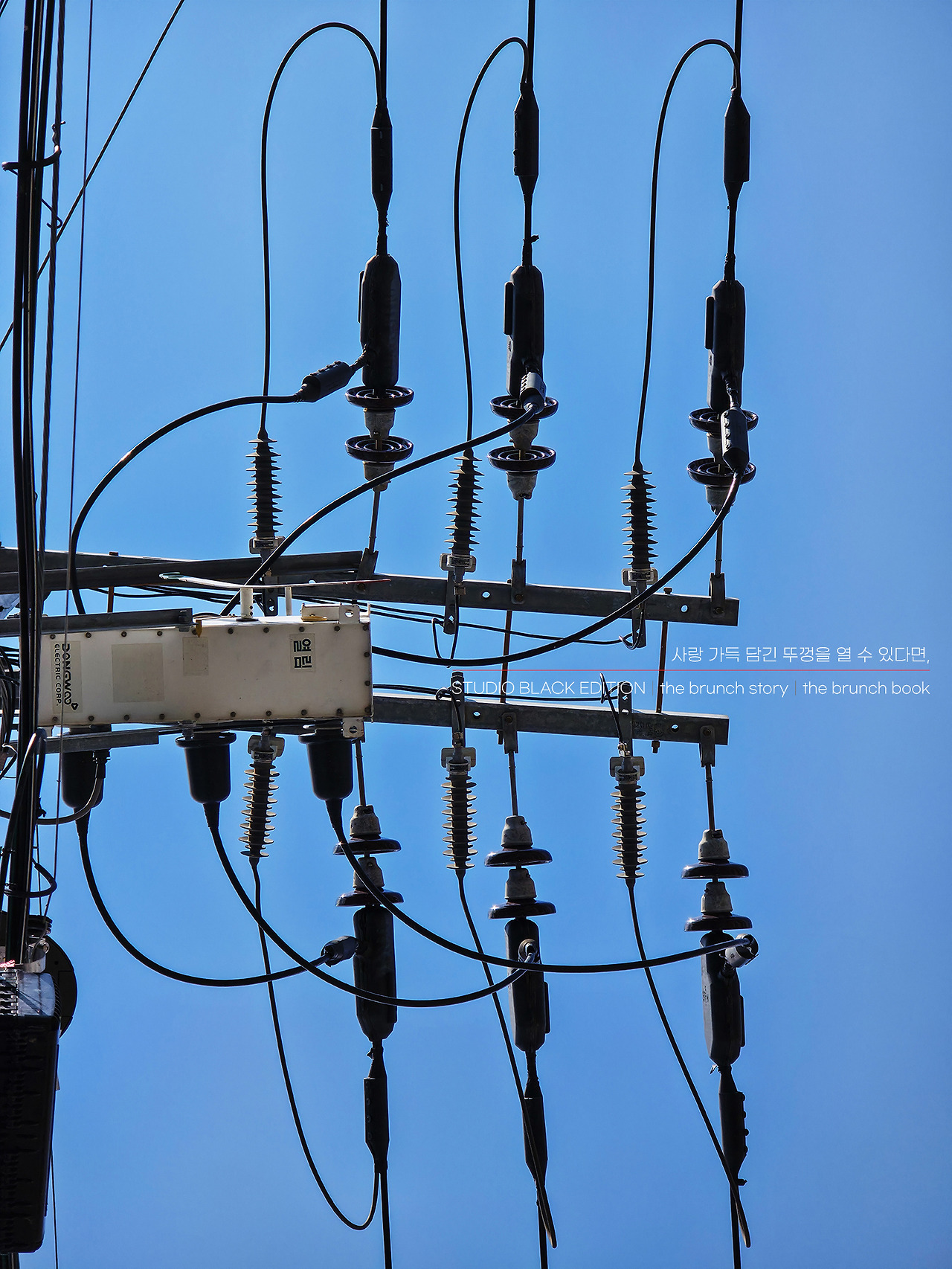 THE BRUNCH STORY 532.jpg