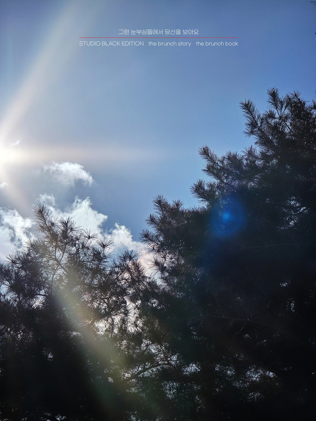 THE BRUNCH STORY 506.jpg