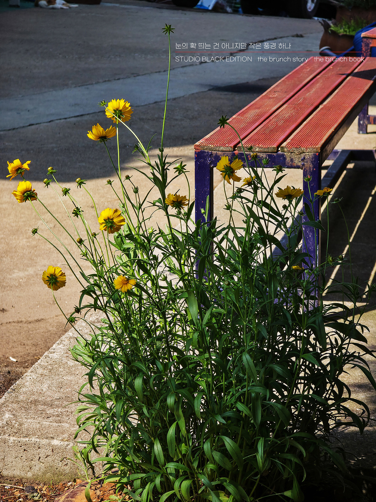 THE BRUNCH STORY 605.jpg