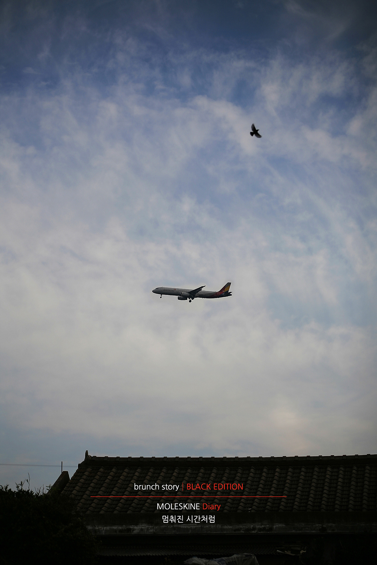 MOLESKINEDiary135.jpg