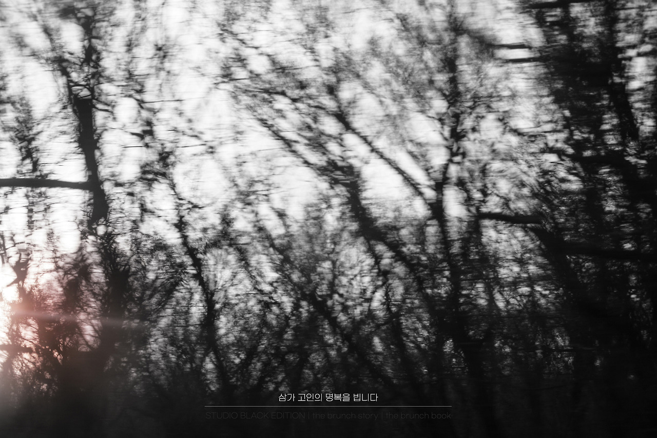 THE BRUNCH STORY 408.jpg