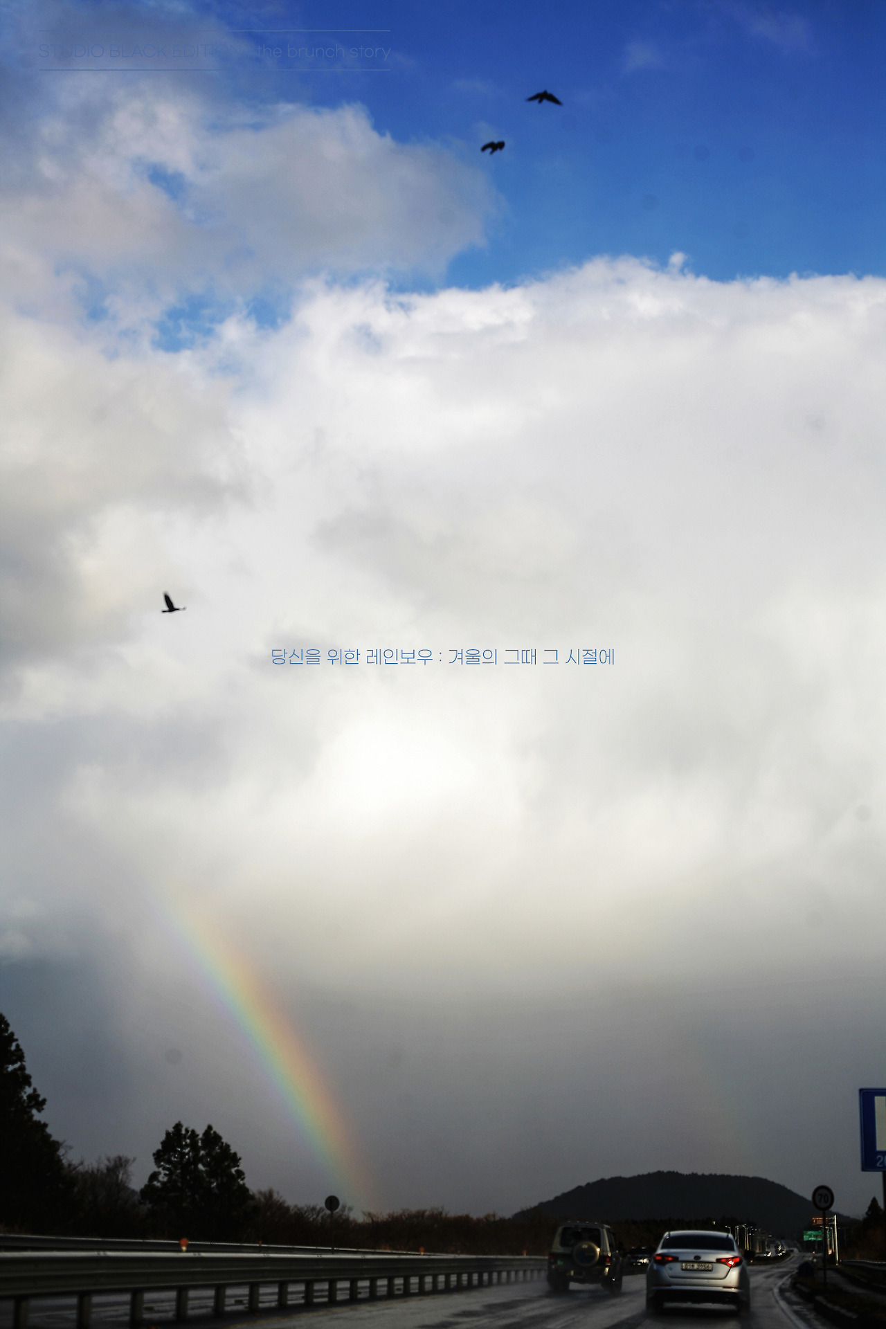 THE BRUNCH STORY 803.jpg