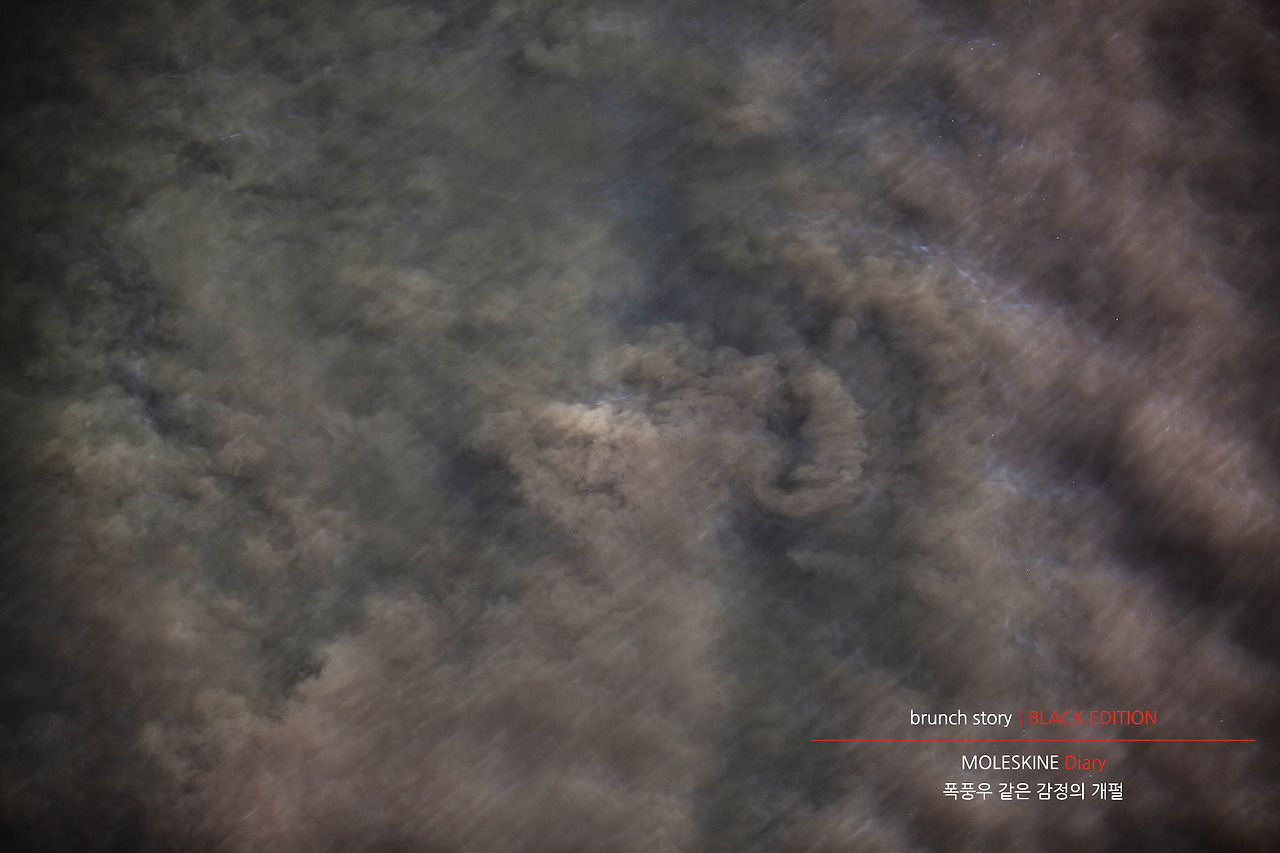 MOLESKINEDiary112.jpg