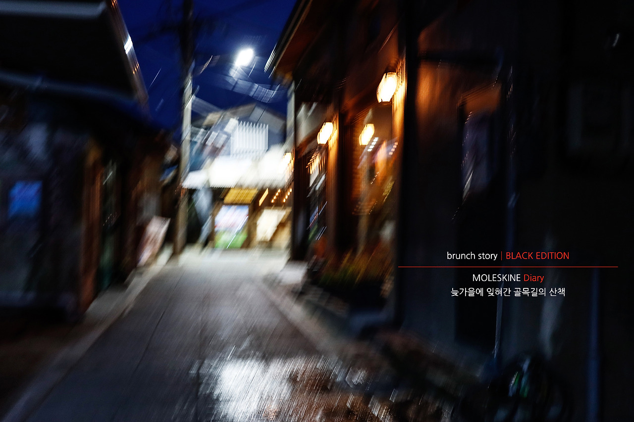 MOLESKINEDiary081.jpg