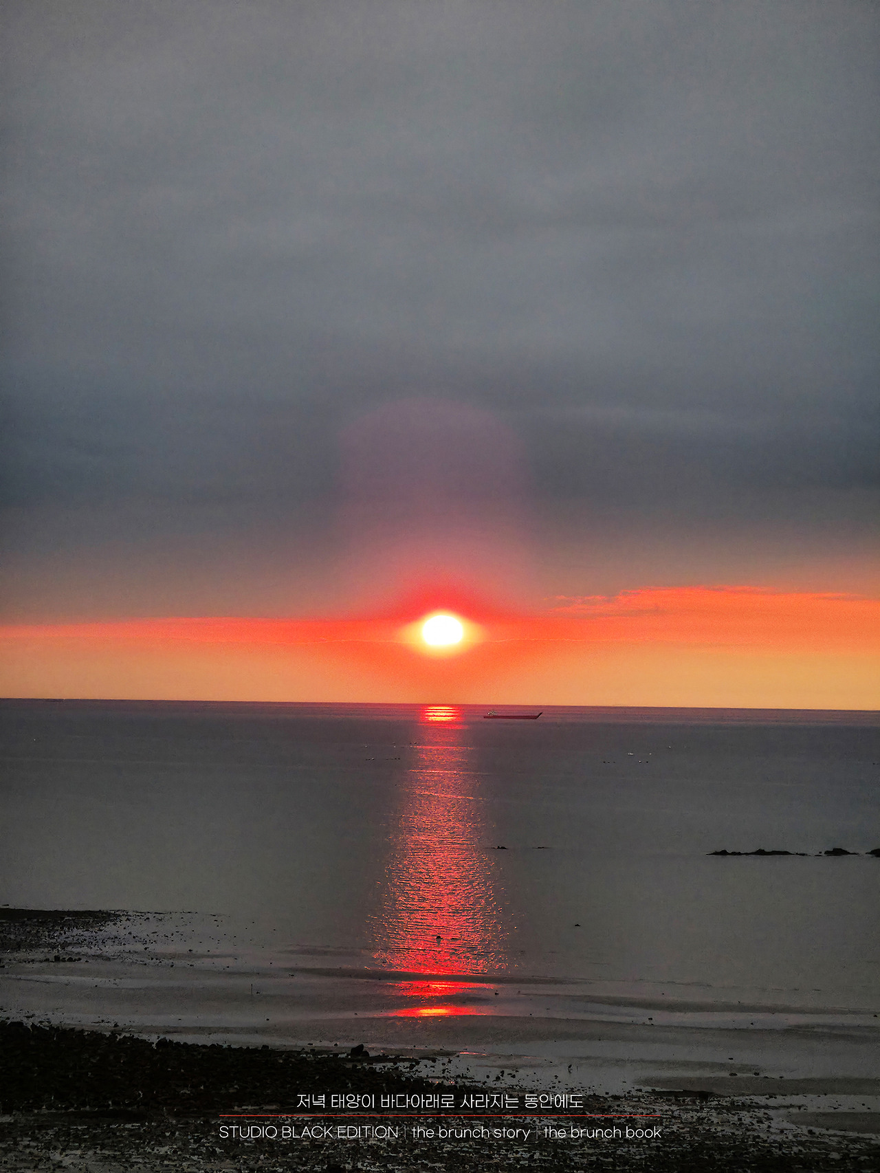 THE BRUNCH STORY 593.jpg