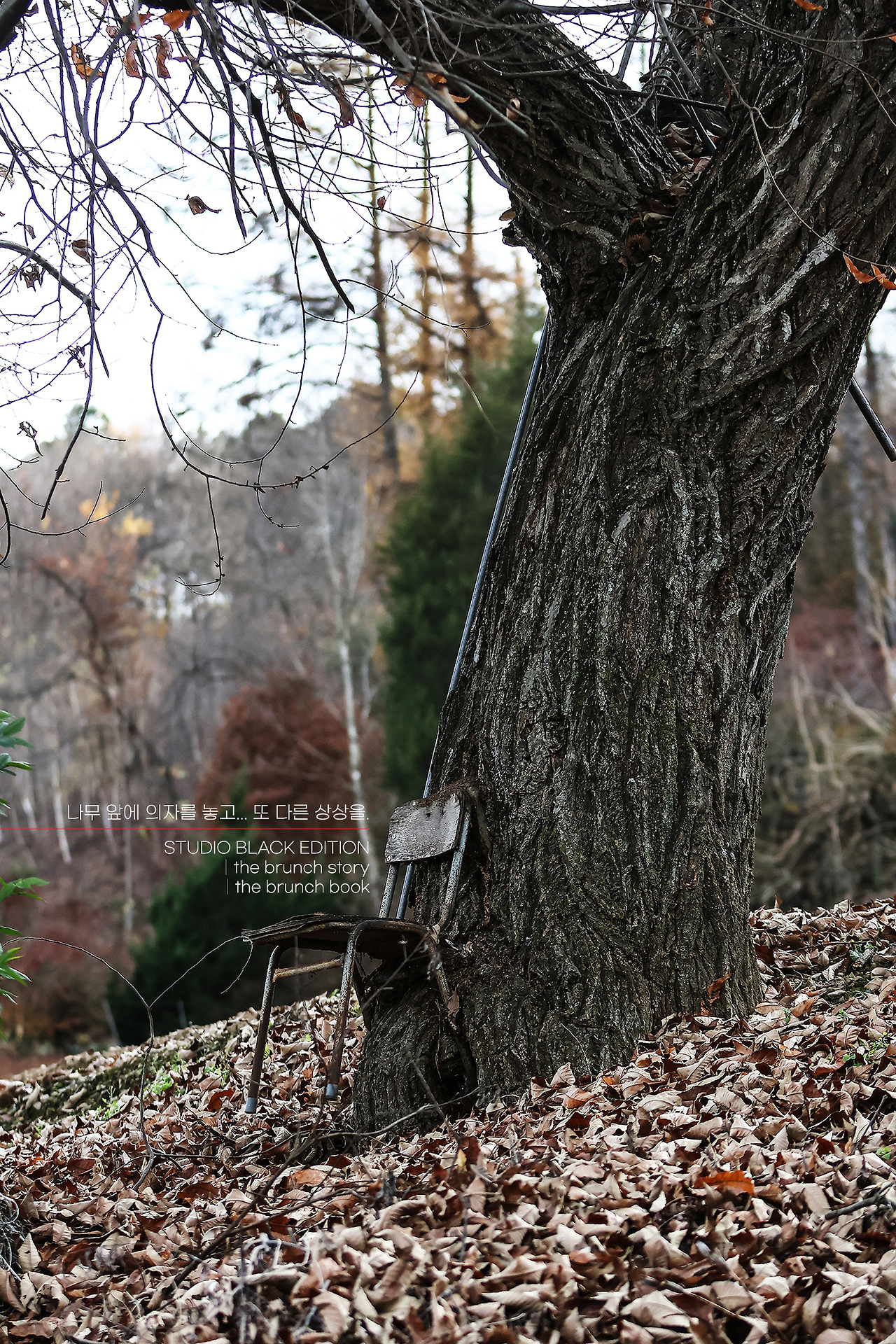 THE BRUNCH STORY 419.jpg