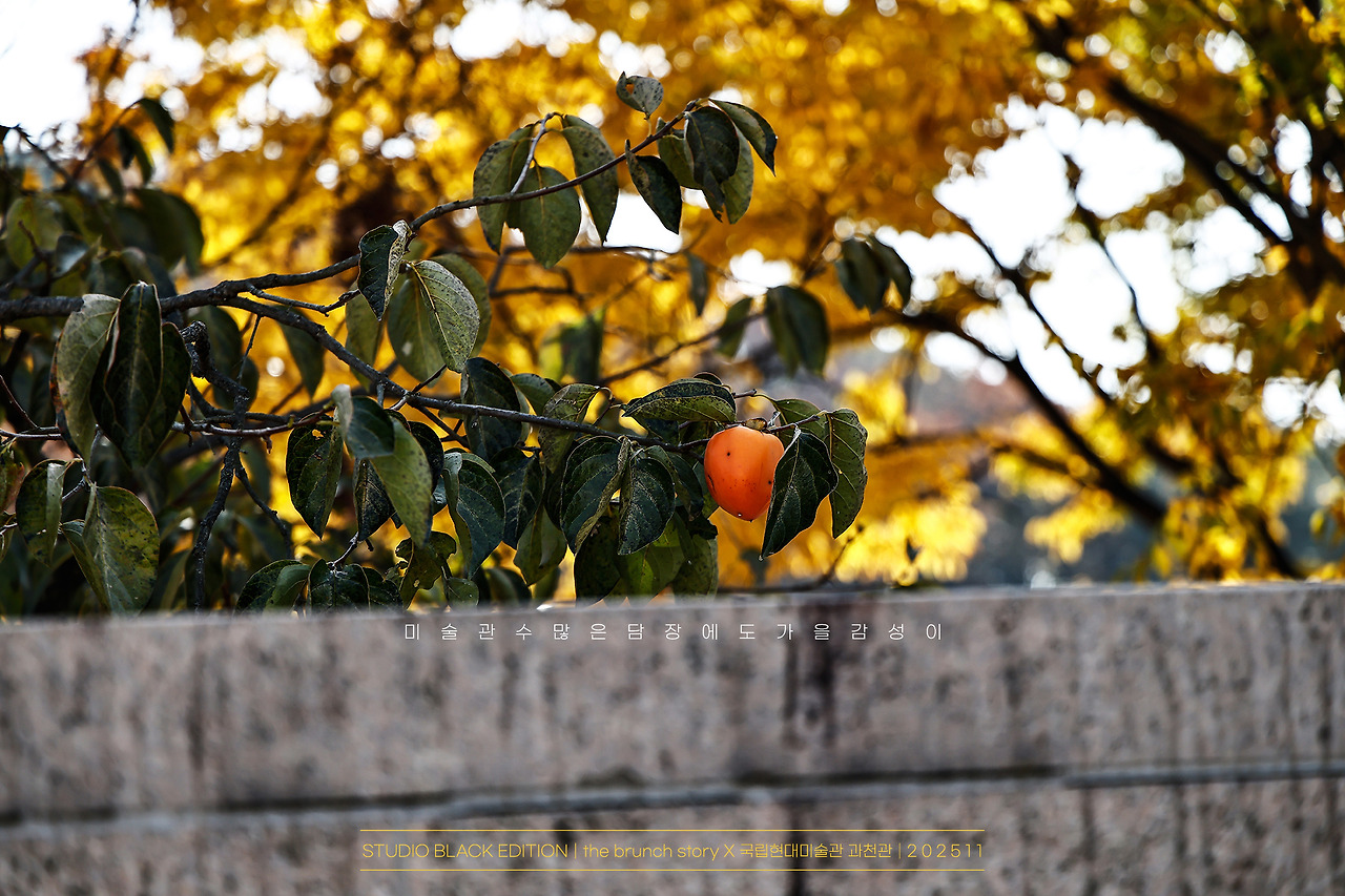 THE BRUNCH STORY 766.jpg