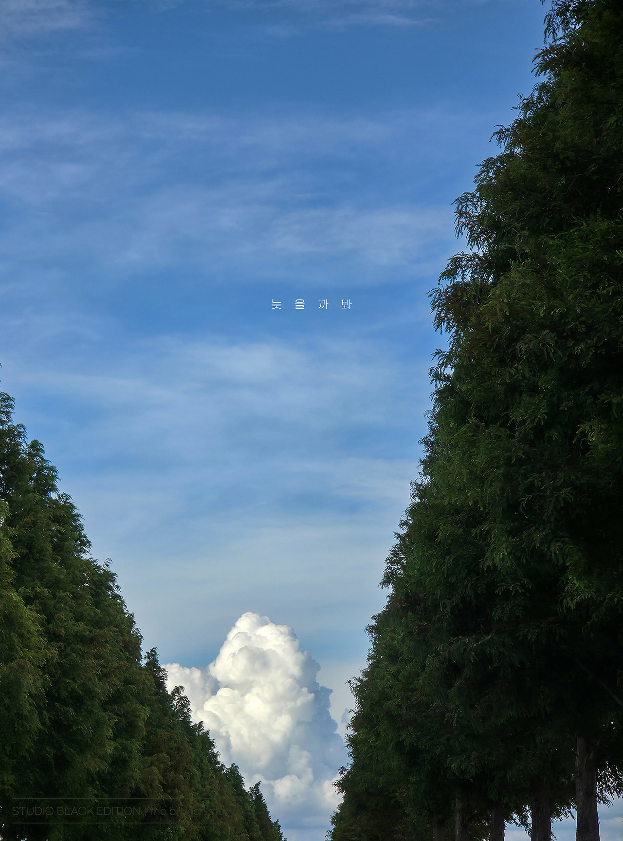 THE BRUNCH STORY 703.jpg