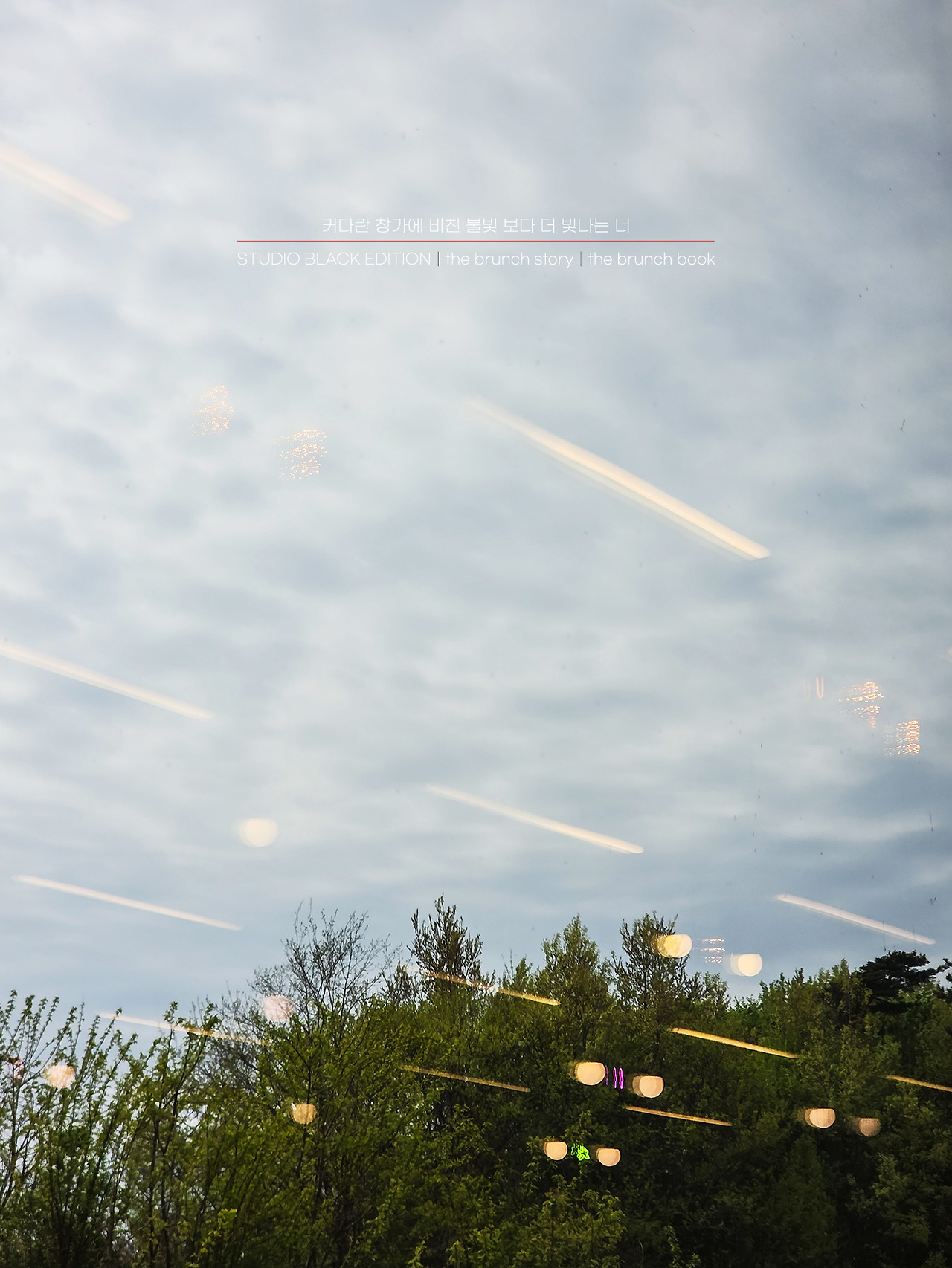 THE BRUNCH STORY 560.jpg