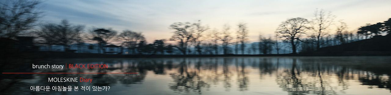 MOLESKINEDiary107.jpg