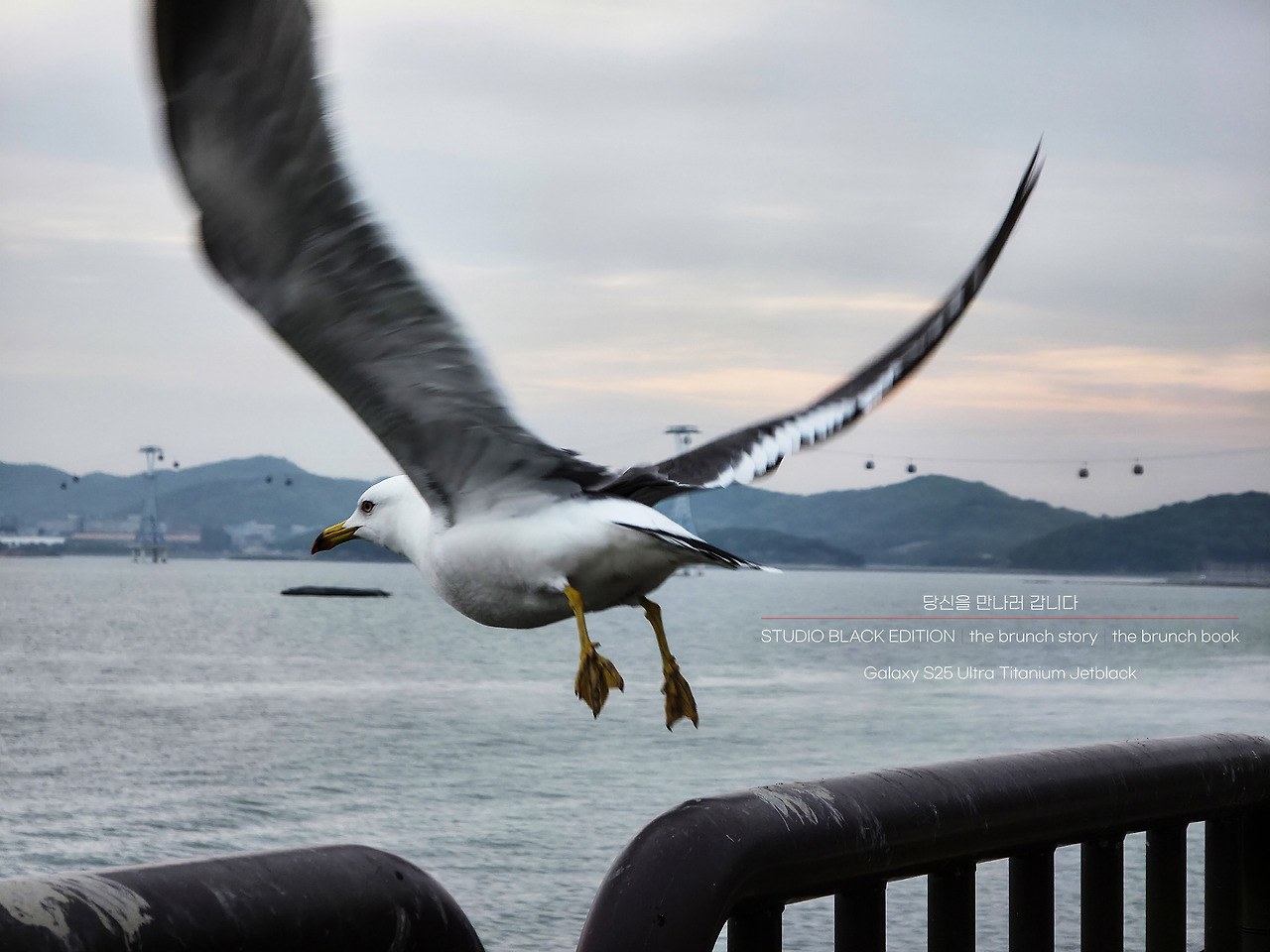 THE BRUNCH STORY 557.jpg