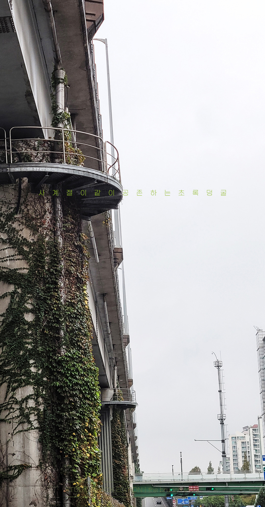 THE BRUNCH STORY 736.jpg