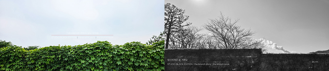 THE BRUNCH STORY 583.jpg